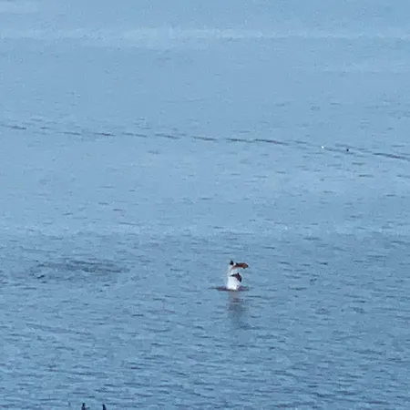 Apartment Mirador Da Granxa Sanxenxo